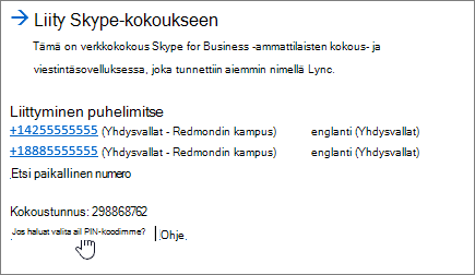 SFB Liity skype-kokoukseen