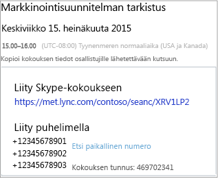 Esimerkkinäyttö, jossa kokouksen tiedot