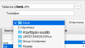 Kuva Tallenna nimellä -valintaikkunasta