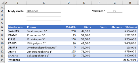 Esimerkki tilauslomakkeesta ilman mukautettua funktiota