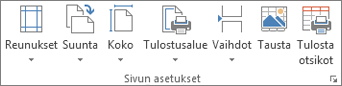 Sivun asettelu -välilehden Sivun asetukset -ryhmä