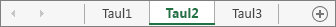 Taulukonvalitsimet