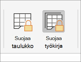 Suojaa työkirja korostettuna MacOS:ssä