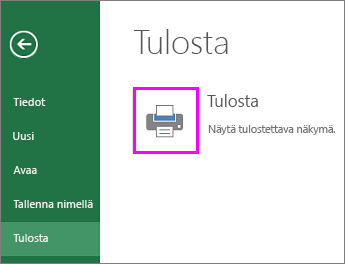 Tulostuksen esikatselu