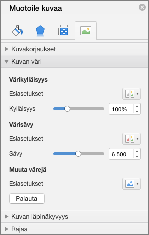 Värikylläisyysasetusten säätäminen Muotoile kuvaa -ruudussa