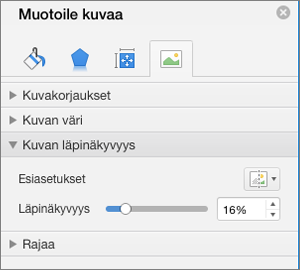 Värin läpinäkyvyyden säätäminen Muotoile kuvaa -ruudussa
