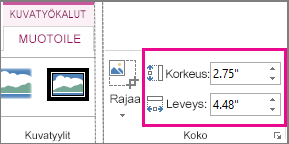 Korkeus- ja Leveys-ruudut Kuvatyökalut - Muotoile -välilehdessä