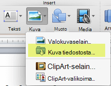 Valitse valintanauhan Aloitus-välilehden Lisää-kohdassa Kuvakuva > tiedostosta.