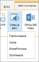 Muokkausvalintanauhan Lisää video tai ääni -painike
