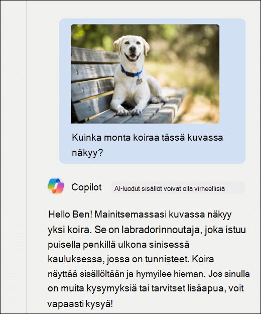 Näyttökuva Copilotista. Koirasta on liitetty kuva kehotteen kanssa Kuinka monta koiraa näkyy tässä kuvassa? Kopioija on vastannut tarkasti ja antanut kuvan lisäkuvauksen.