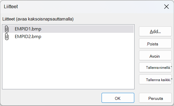 Accessin Liitteet-valintaikkuna, jossa näkyy kaksi BMP-tiedostoa.