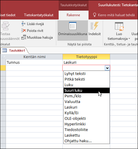 Näyttökuva Access-taulukon tietotyyppiluettelosta. Suuri luku on valittuna.