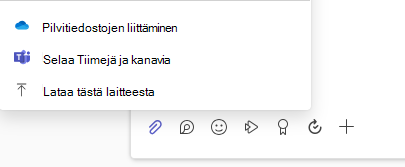 Näyttökuva liitetiedoston asetusvalikosta.