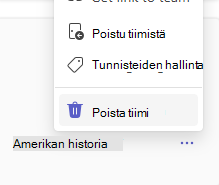 poista tiimi