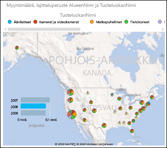 Power View -kartta Yhdysvalloista ympyräkaavioilla
