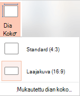 Dian koko -painike Mukauta-ryhmässä