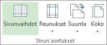 Raportointityökalujen Rakenne-välilehden Sivun asetukset -ryhmä