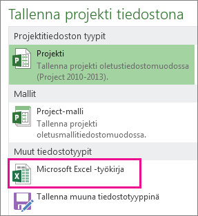 Projektitiedoston tallentaminen Microsoft Excel -työkirjana