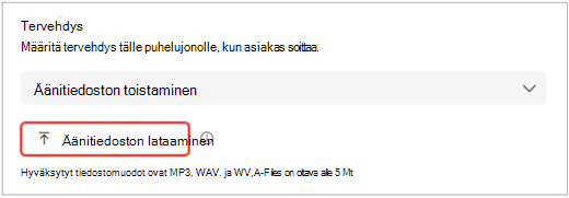 Teams-käyttöliittymän näyttö, jossa näkyvät asetukset