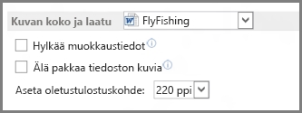 Word 2013:n kuvakoko ja laatuasetukset
