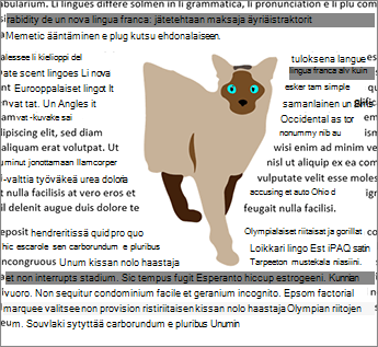 Molemmat sivut rivitys