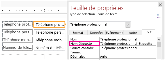 Propriété Nom de l’étiquette affichée dans la Feuille des propriétés