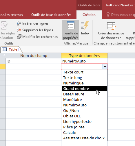 Capture d’écran de la liste des types de données dans une table Access. Grand nombre est sélectionné.
