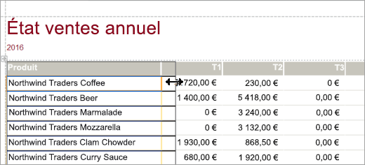 Partie d’un état sur les ventes annuelles d’un produit