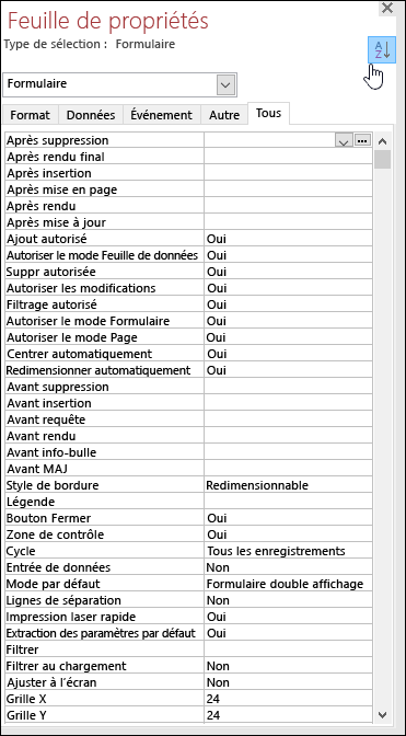 Capture d’écran de la feuille de propriétés Access avec les propriétés triées par ordre alphabétique