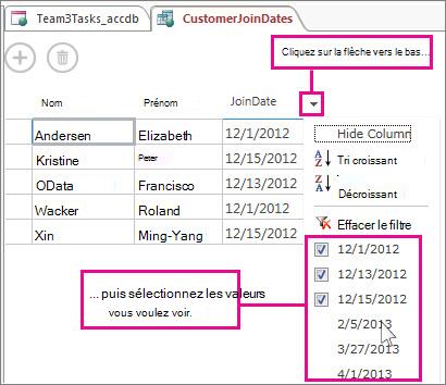 Filtrage d’une colonne d’une requête dans une application Access.
