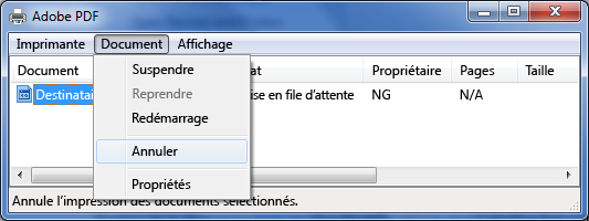 Dans le menu Document, cliquez sur Annuler.