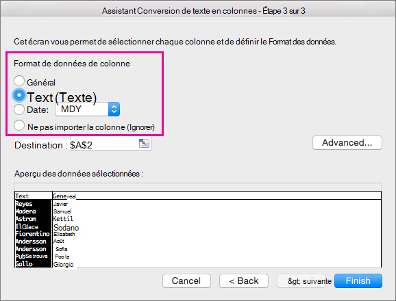 Étape 3 de l’Assistant avec l’option Texte sélectionnée