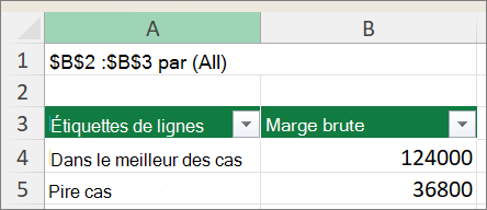Capture dʼécran montrant le rapport de tableau croisé dynamique du scénario.