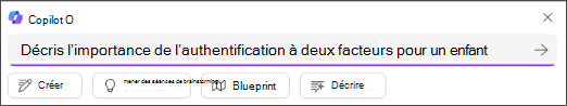 Certaines décrivent le texte d’importance de l’invite Décrire
