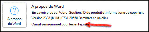 Indication du Canal Entreprise semestriel dans la zone À propos de Word de la section Informations sur le produit.