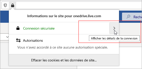 Sélectionnez Afficher les détails de la connexion.