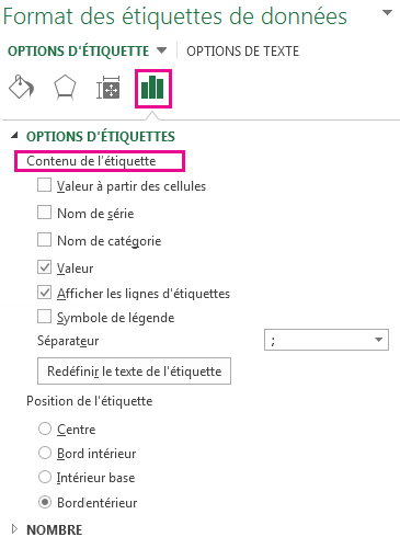 Zone Options d’étiquettes du volet Format d’étiquette de données
