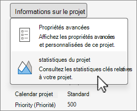 Options Informations sur le projet