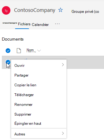 Affichage des options Supprimer et Renommer le fichier