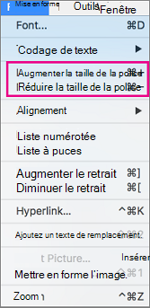 Dans le menu Format, sélectionnez Augmenter la taille de police ou Réduire la taille de police