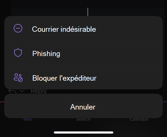 Sous-menu Courrier indésirable pour Outlook Mobile