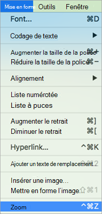 Affiche la sélection d’un zoom dans le menu Format