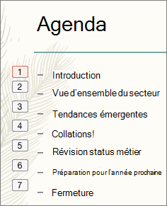Chaque puce dans la liste représente l’ordre de lecture des animations dans un petit encadré situé à gauche