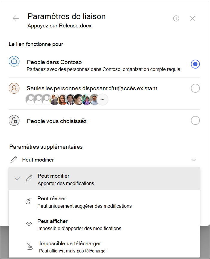 Capture d’écran des paramètres de lien de copie