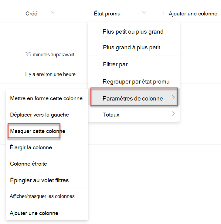Capture d’écran du masquage d’une colonne