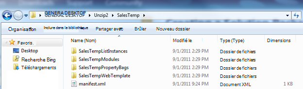 Capture d’écran montrant un fichier Web Solution Package (.wsp) décompressé dans l’Explorateur Windows