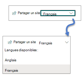 Liste déroulante langue