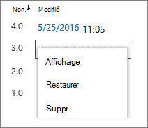 Options de l’historique des versions (afficher, restaurer, supprimer)