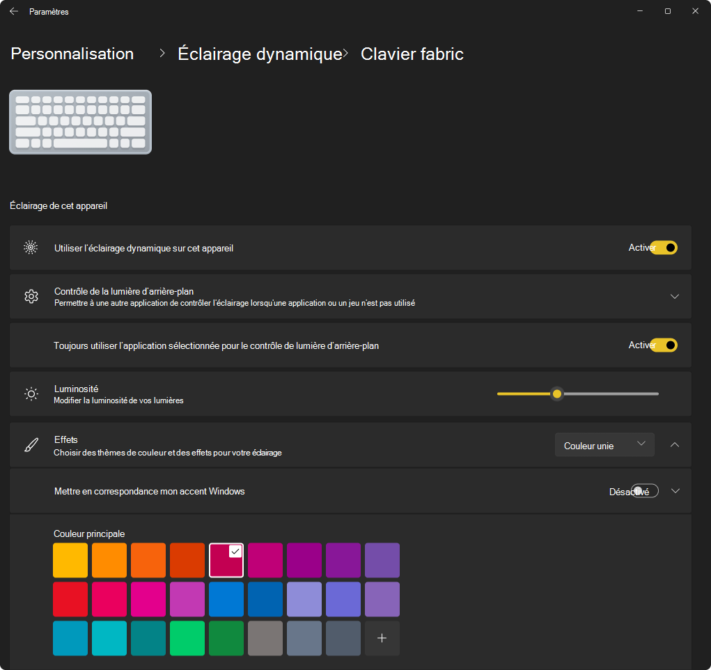 Capture d’écran de l’application Paramètres montrant les propriétés d’éclairage dynamique d’un clavier.