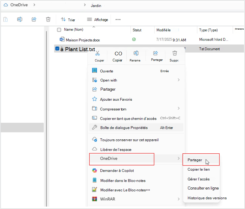 Capture d’écran du partage de fichiers OneDrive